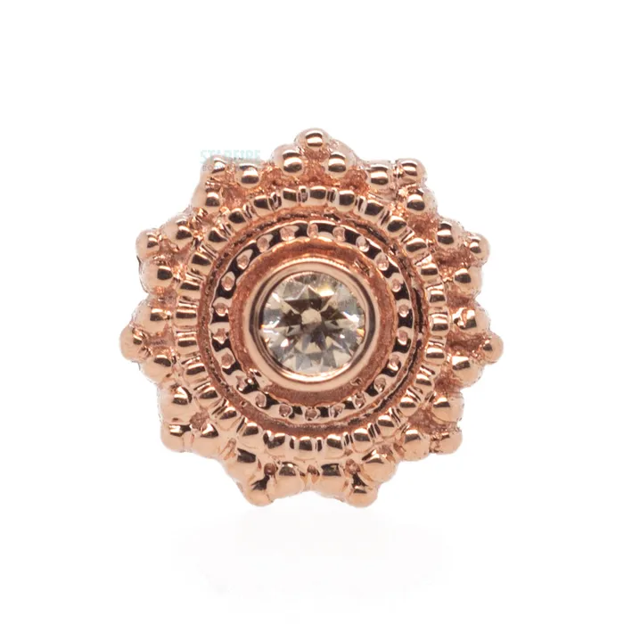 Earrings Body Vision BVLA Round Afghan Nostril Screw in Gold with Champagne CZ