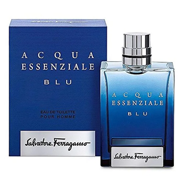 Earrings SALVATORE FERRAGAMO SALVATORE FERRAGAMO FERRAGAMO BLU PR1915 100ML 8052464891467