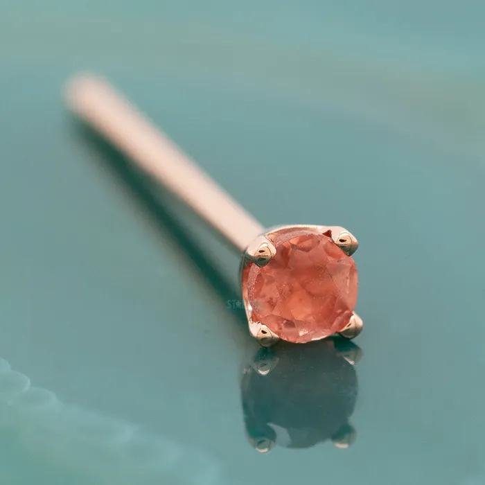 Four Prong Nostril Screw in Gold with Oregon Sunstone Body Vision BVLA Earrings