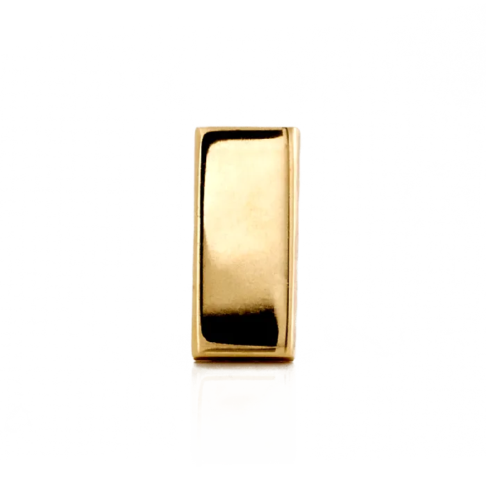 Earrings Pupil Hall Rectangle