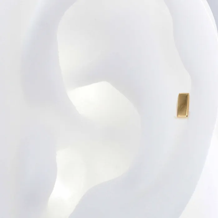 Earrings Pupil Hall Rectangle
