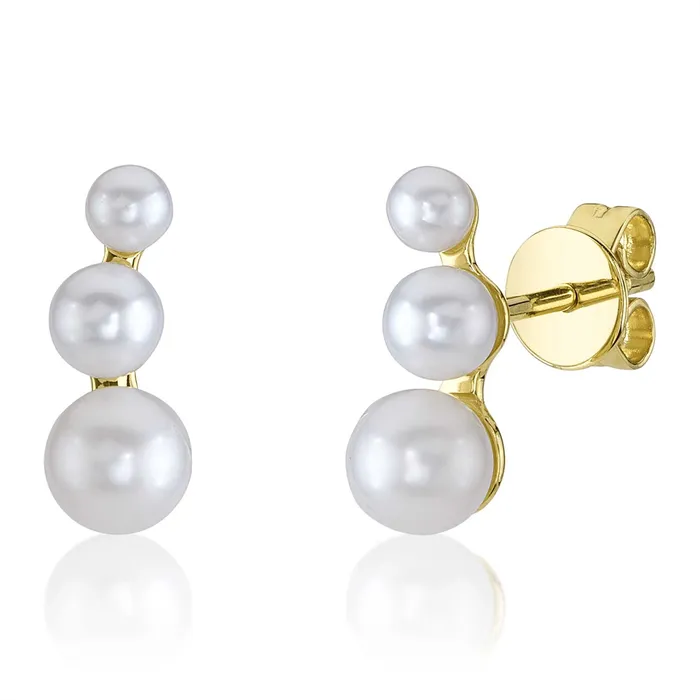 Meierotto Jewelers Earrings 14K Yellow Gold Cultured Pearl Earrings