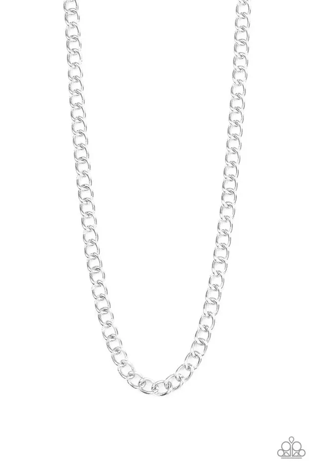 Paparazzi Jewelry Necklaces Paparazzi Necklace Full Court Silver