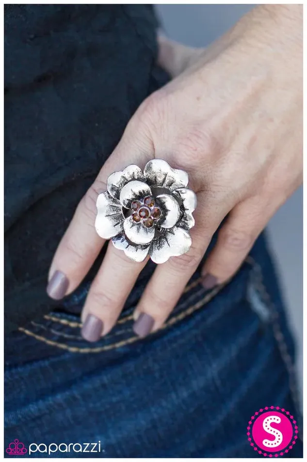 Paparazzi Jewelry Rings Paparazzi Ring As Long As We Are Together Brown