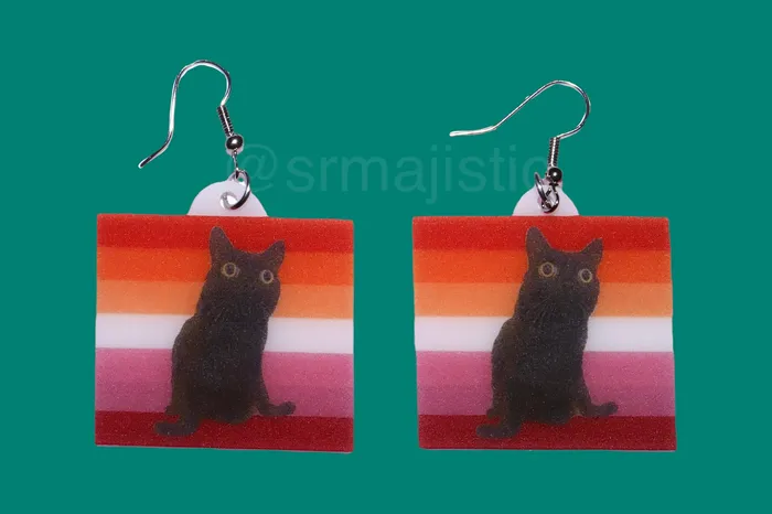 Sam Makes Things Earrings Jinx says Gay Rights cute pride flag detailed Handmade Earrings