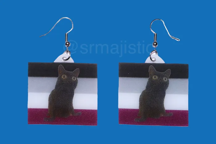 Sam Makes Things Earrings Jinx says Gay Rights cute pride flag detailed Handmade Earrings