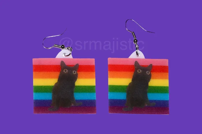 Sam Makes Things Earrings Jinx says Gay Rights cute pride flag detailed Handmade Earrings
