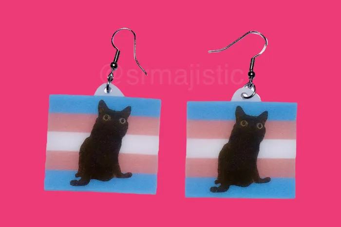 Sam Makes Things Earrings Jinx says Gay Rights cute pride flag detailed Handmade Earrings