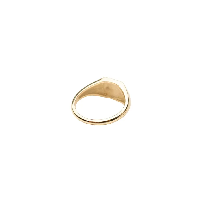 TheRoseGypsy 14k Gold Geometric Signet Ring Rings